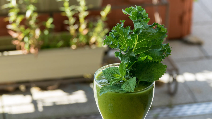 A mint and kale plant